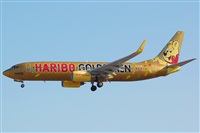 Luciano Fumero( freedom spotter)canary island spotting. Click to see full size photo