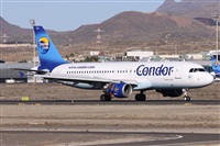 ©Alfonso Solís - Asociación Canary Islands Spotting. Click to see full size photo ©Alfonso Solís - Asociación Canary Islands Spotting. Click to see full size photo