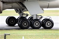 Miguel Martin Cordeiro - Iberian Spotters. Click to see full size photo