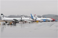 Rubn Gil - Noisy Spotters. Click to see full size photo