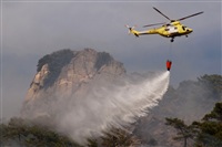 Montserrat Pin. Click to see full size photo