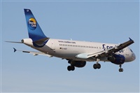©Alfonso Solís - Asociación Canary Islands Spotting. Click to see full size photo ©Alfonso Solís - Asociación Canary Islands Spotting. Click to see full size photo