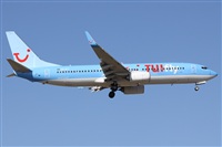 Alfonso Sols - Asociacin Canary Islands Spotting. Haz click para ampliar