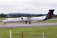 Javier de la Cruz - CANARY ISLANDS SPOTTING. Click to see full size photo