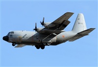 Alejandro H.L - Gran Canaria Spotters. Click to see full size photo