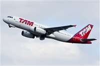 Naoto Goto - South American Spotters Asu-Py. Click to see full size photo