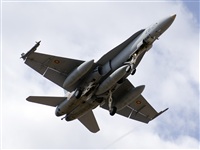 Paco Muoz Arencibia - Gran Canaria Spotters. Click to see full size photo