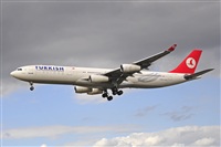 Miguel A. gueda Rguez.  (CANARY ISLANDS SPOTTING). Click to see full size photo