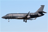 Miguel Alia - Noisy Spotters. Click to see full size photo