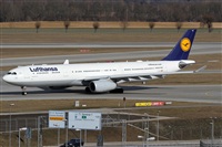 Rubn Gil - Noisy Spotters. Click to see full size photo