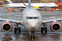 Javier de la Cruz - CANARY ISLANDS SPOTTING. Haz click para ampliar