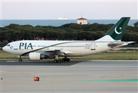 Miguel Alia - Noisy Spotters. Click to see full size photo