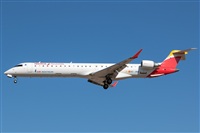 Bartolom Fernndez - Gran Canaria Spotters. Click to see full size photo