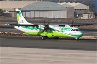 ©Adolfo Bento - Gran Canaria Spotters. Click to see full size photo ©Adolfo Bento - Gran Canaria Spotters. Click to see full size photo