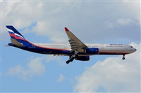 Miguel A. gueda Rguez.  (CANARY ISLANDS SPOTTING). Haz click para ampliar