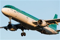 Miguel Alia - Noisy Spotters. Click to see full size photo