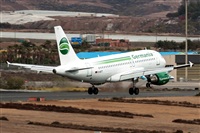 Bartolom Fernndez - Gran Canaria Spotters. Click to see full size photo