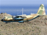 Paco Muoz Arencibia - Gran Canaria Spotters. Click to see full size photo