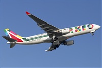 Rubn Gil - Noisy Spotters. Click to see full size photo