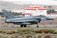 Florencio Martn Melin - Lanzarote Spotters. Click to see full size photo