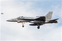 Adolfo Bento - Gran Canaria Spotters. Click to see full size photo