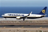 Alfonso Sols - Asociacin Canary Islands Spotting. Click to see full size photo