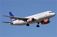 Alfonso Sols - Asociacin Canary Islands Spotting. Click to see full size photo