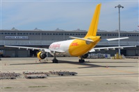 Miguel A. gueda Rguez.  (CANARY ISLANDS SPOTTING). Click to see full size photo