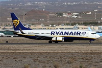 Alfonso Sols - Asociacin Canary Islands Spotting. Click to see full size photo
