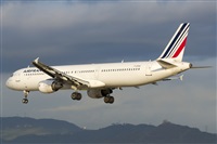 ©Saimon J Rodriguez - Canary Islands Spotting. Click to see full size photo ©Saimon J Rodriguez - Canary Islands Spotting. Click to see full size photo
