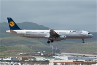©J. Victor Vega-Gran Canaria Spotters. Click to see full size photo ©J. Victor Vega-Gran Canaria Spotters. Click to see full size photo