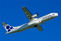 ©Saimon J Rodriguez - Canary Islands Spotting. Click to see full size photo ©Saimon J Rodriguez - Canary Islands Spotting. Click to see full size photo