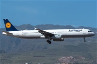 ©Román Valladares-Gran Canaria Spotters. Click to see full size photo ©Román Valladares-Gran Canaria Spotters. Click to see full size photo