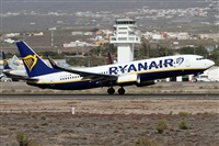 Alfonso Sols - Asociacin Canary Islands Spotting. Click to see full size photo