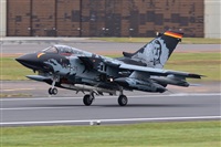 ©Manuel Acosta Zapata LMDT Spotters. Click to see full size photo ©Manuel Acosta Zapata LMDT Spotters. Click to see full size photo