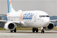 Javier de la Cruz - CANARY ISLANDS SPOTTING. Click to see full size photo