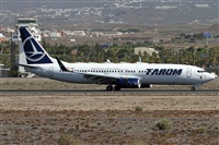 Alfonso Sols - Asociacin Canary Islands Spotting. Haz click para ampliar