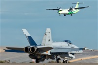 ©Adolfo Bento - Gran Canaria Spotters. Click to see full size photo ©Adolfo Bento - Gran Canaria Spotters. Click to see full size photo