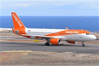 Miguel A. gueda Rguez.  (CANARY ISLANDS SPOTTING). Click to see full size photo