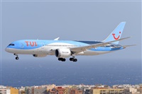 Miguel A. gueda Rguez.  (CANARY ISLANDS SPOTTING). Click to see full size photo