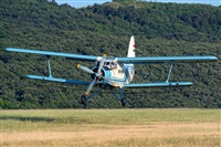 Tams. Click to see full size photo