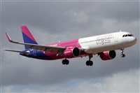 Alfonso Sols - Asociacin Canary Islands Spotting. Click to see full size photo