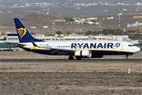 Alfonso Sols - Asociacin Canary Islands Spotting. Click to see full size photo