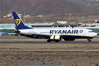 Alfonso Sols - Asociacin Canary Islands Spotting. Haz click para ampliar