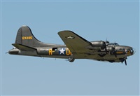 Rod Dermo. Click to see full size photo