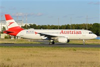 Miguel A. gueda Rguez.  (CANARY ISLANDS SPOTTING). Click to see full size photo
