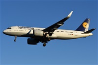LEBL Spotter. Click to see full size photo