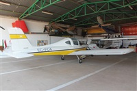 Adrin Alonso Lemes - Lanzarote Spotters. Haz click para ampliar