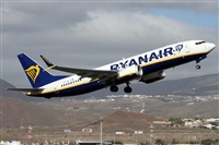 Alfonso Sols - Asociacin Canary Islands Spotting. Click to see full size photo