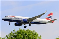 Miguel A. gueda Rguez.  (CANARY ISLANDS SPOTTING). Click to see full size photo